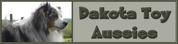 Dakota Toy Aussies website